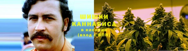 амф Корсаков
