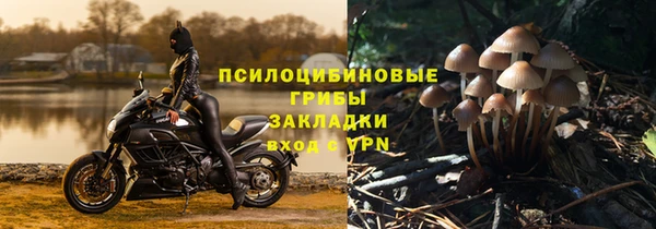 амф Корсаков
