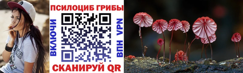 Галлюциногенные грибы GOLDEN TEACHER  Курчалой 