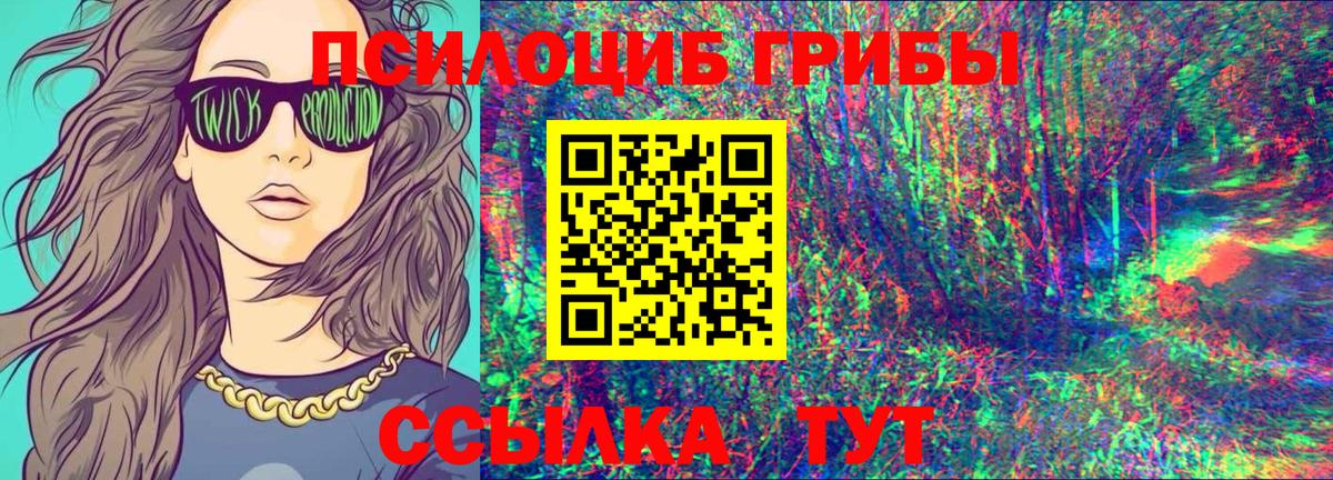 Псилоцибиновые грибы Cubensis  Псилоцибиновые грибы Psilocybine cubensis  Вход с VPN  Курчалой 