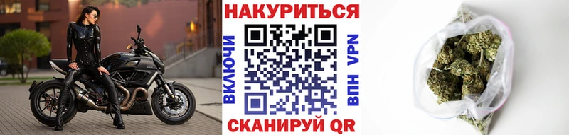 Бошки Шишки AK-47  Курчалой 